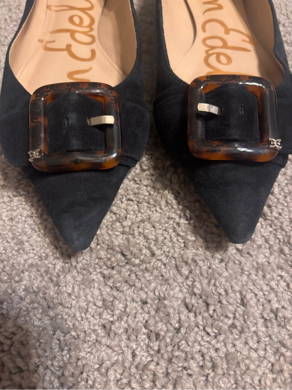 Sam Edelman Black Suede Pointed Toe Flats with Tortoiseshell Buckle - Picture 2 of 5